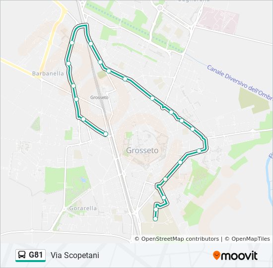 G81 bus Line Map