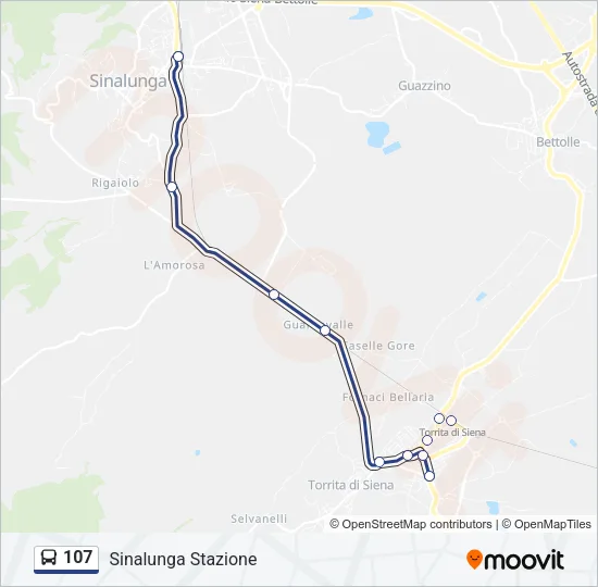 107 Bus Line Map