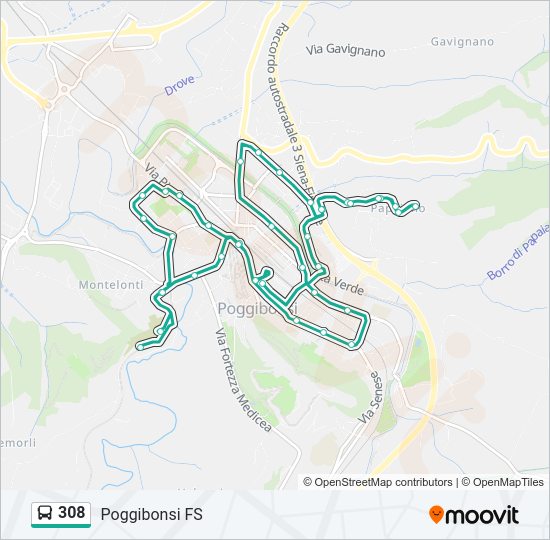 Percorso linea bus 308