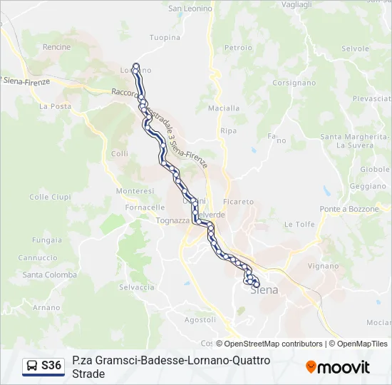 S36 Bus Line Map