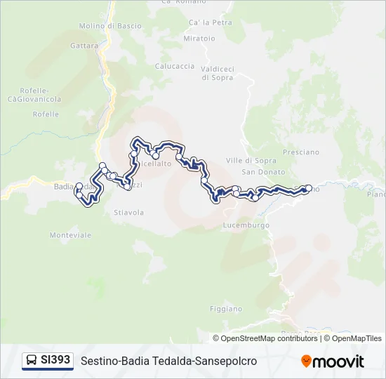 SI393 Bus Line Map