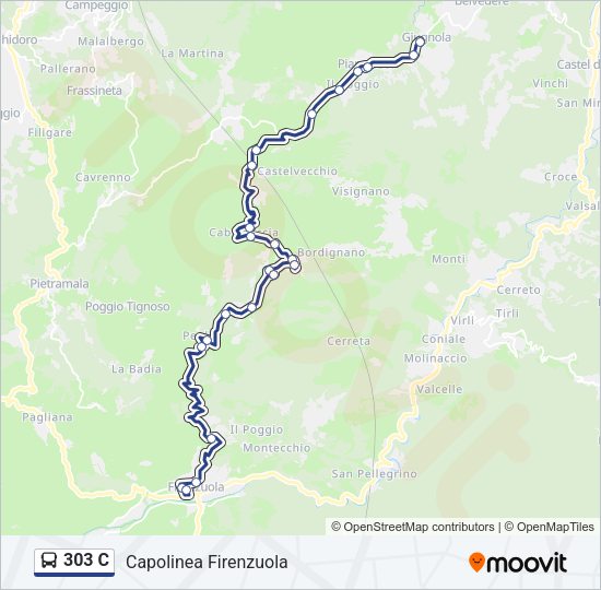 303 C Bus Line Map