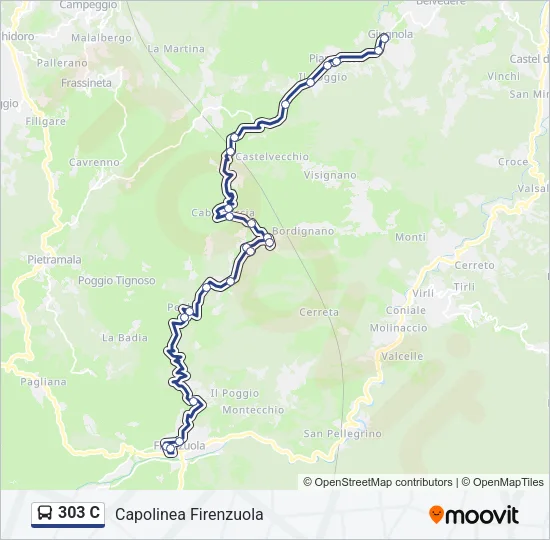 303 C Bus Line Map