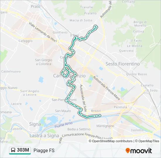 Percorso linea bus 303M