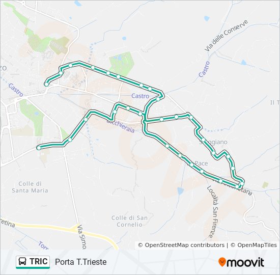 Percorso linea bus TRIC