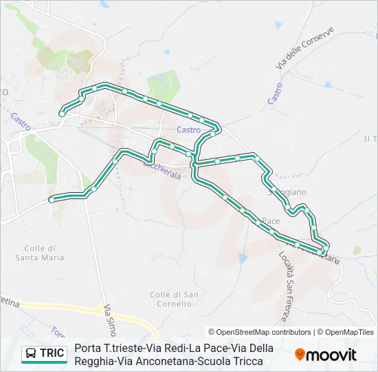 TRIC Bus Line Map