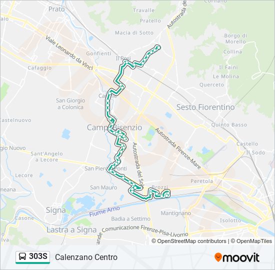 303S bus Line Map