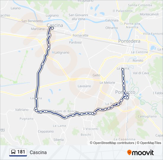 181 bus Line Map