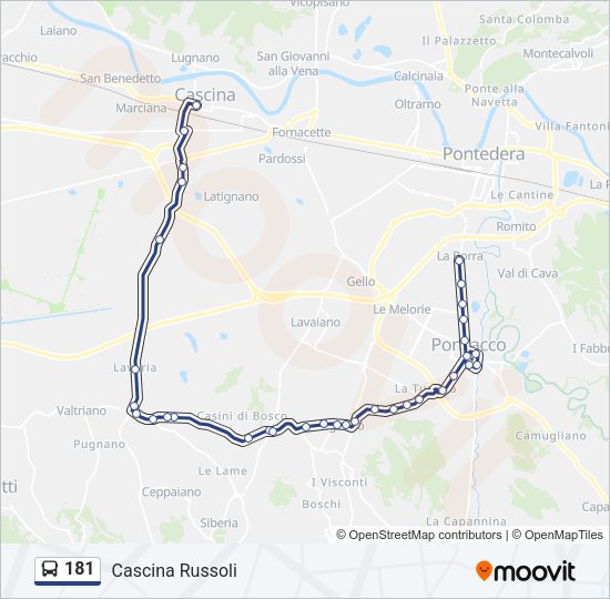 181 Bus Line Map