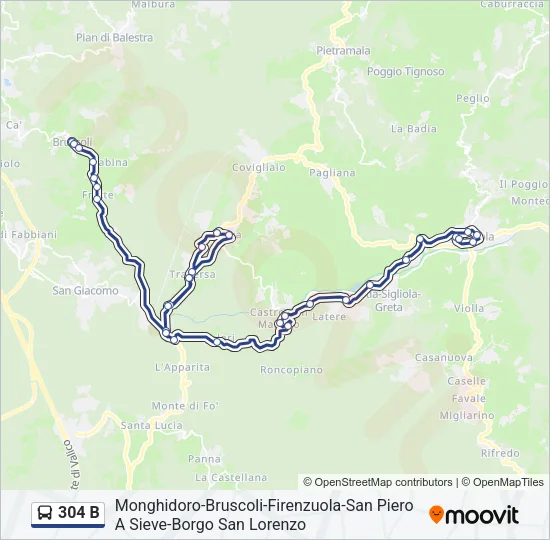 304 B Bus Line Map