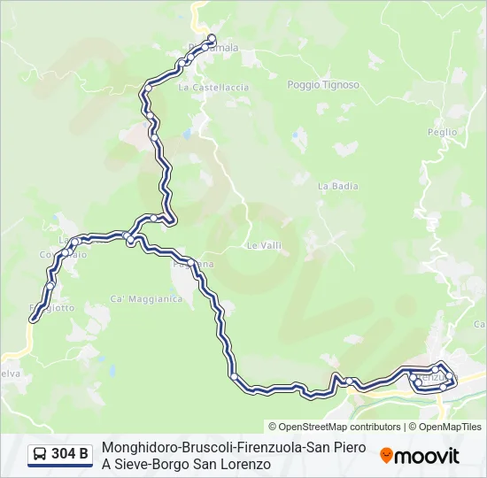 304 B Bus Line Map