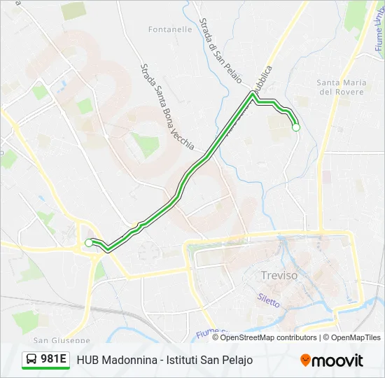 981E Bus Line Map