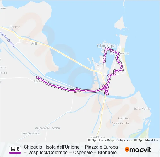 8 Bus Line Map
