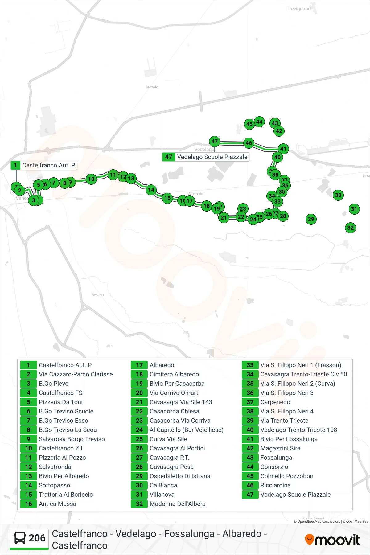Linea 206 bus (Vedelago Scuole Piazzale) - Percorsi e fermate sulla mappa