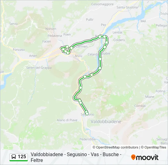 125 Bus Line Map