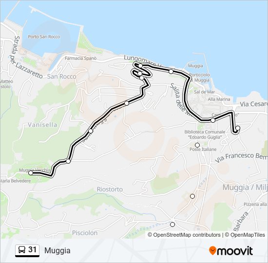 31 bus Line Map