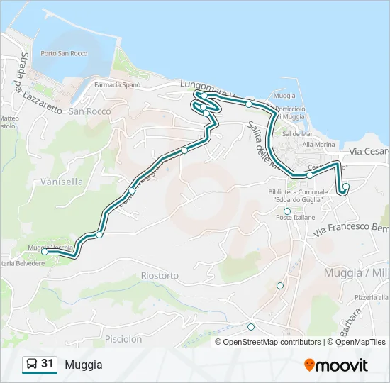 31 Bus Line Map