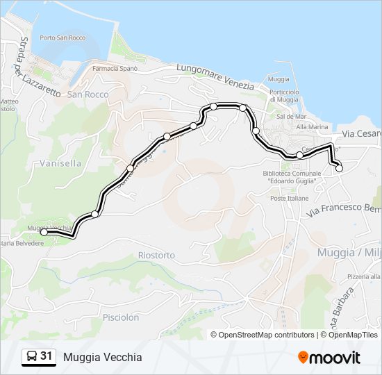 31 bus Line Map