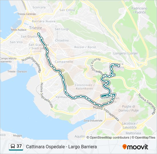 Percorso linea bus 37