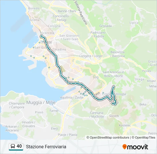 40 Bus Line Map