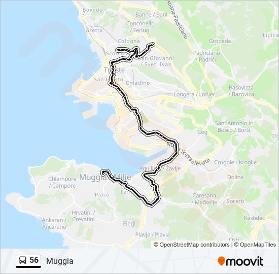 56 bus Line Map