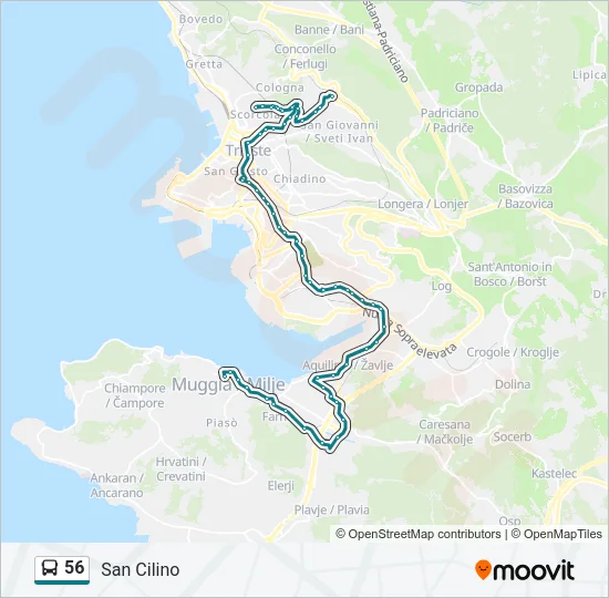 56 Bus Line Map