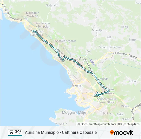 39/ Bus Line Map