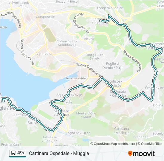 49/ Bus Line Map