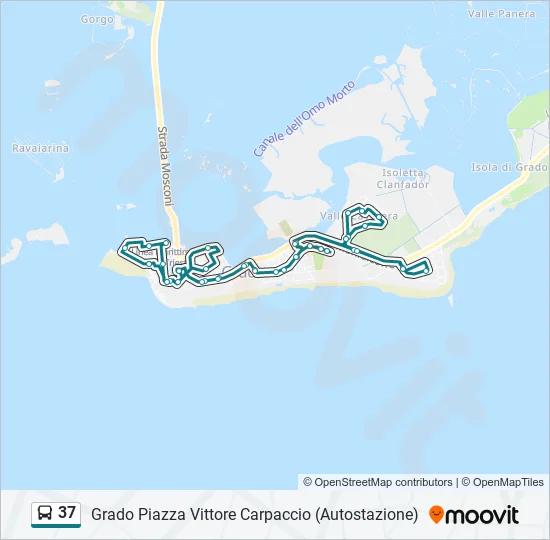 37 Bus Line Map