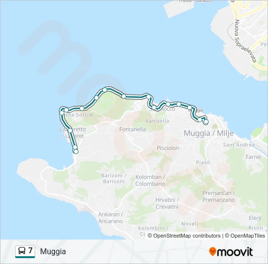 7 Bus Line Map