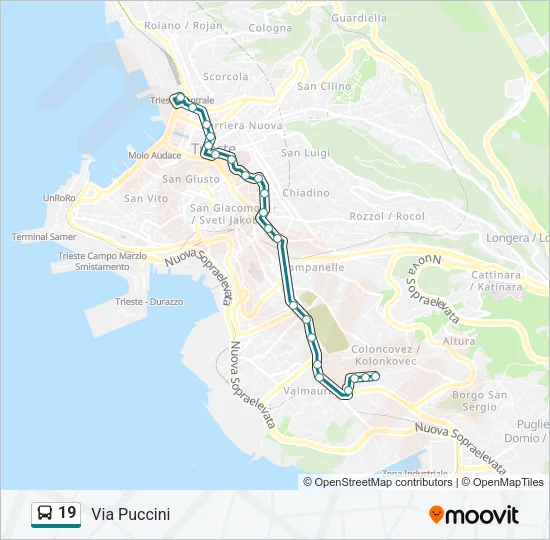 19 Bus Line Map