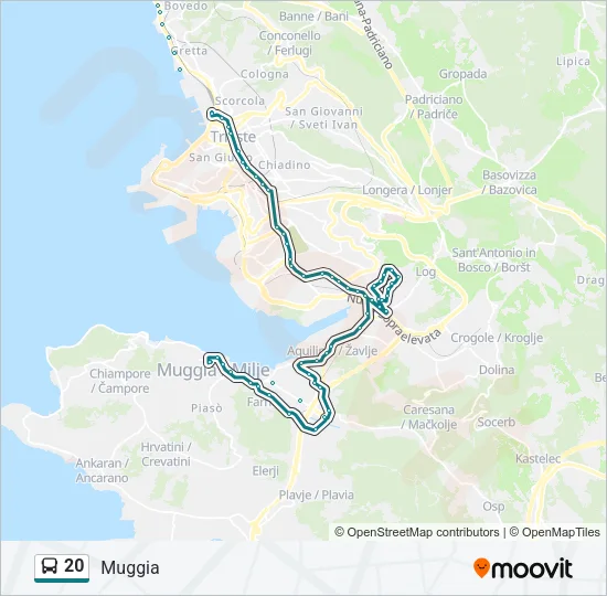 20 Bus Line Map