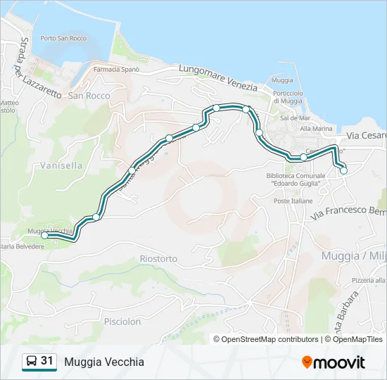 31 Bus Line Map