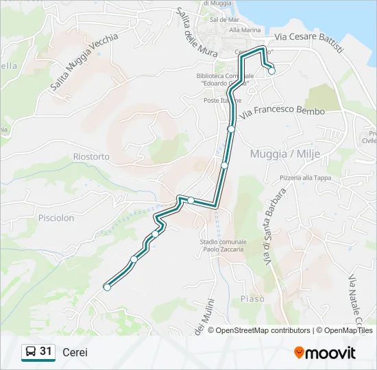31 Bus Line Map