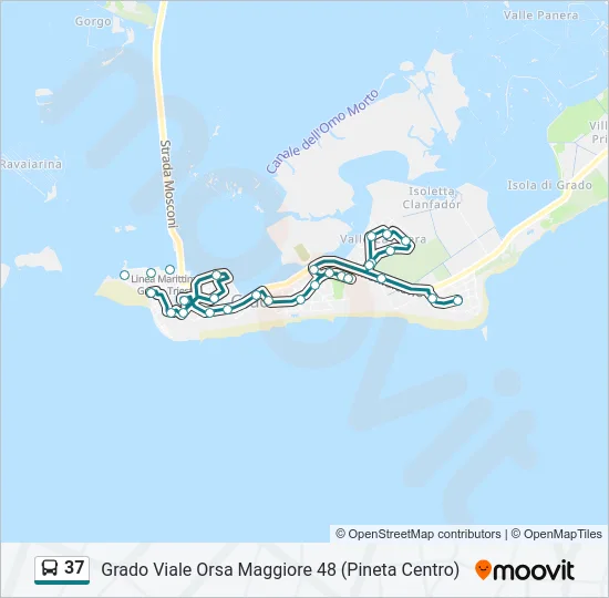 37 Bus Line Map