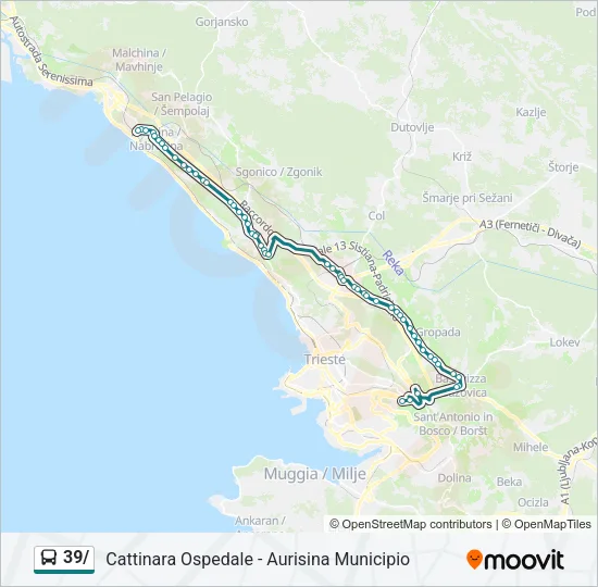 39/ Bus Line Map