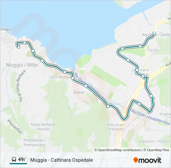 49/ Bus Line Map