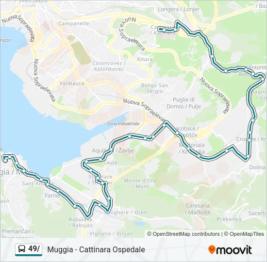 49/ Bus Line Map