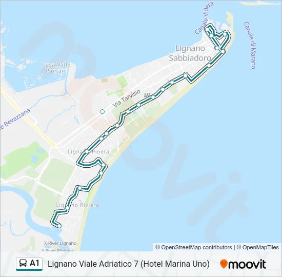 A1 Bus Line Map