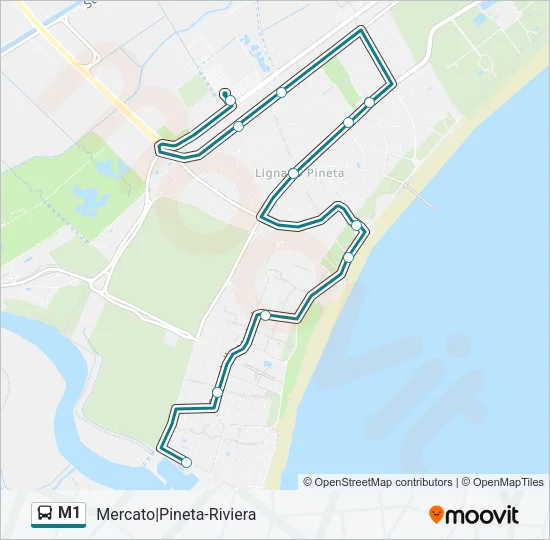 M1 Route: Schedules, Stops & Maps - Mercato|Pineta-Riviera (Updated)