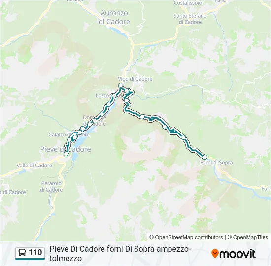 110 Bus Line Map