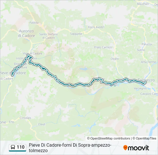 110 Bus Line Map