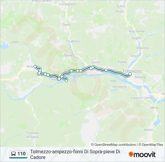110 Bus Line Map