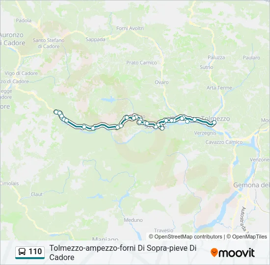 110 Bus Line Map