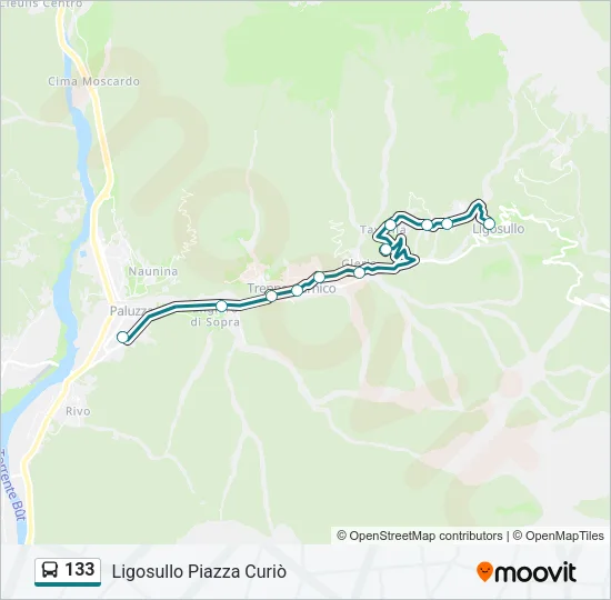 133 Bus Line Map