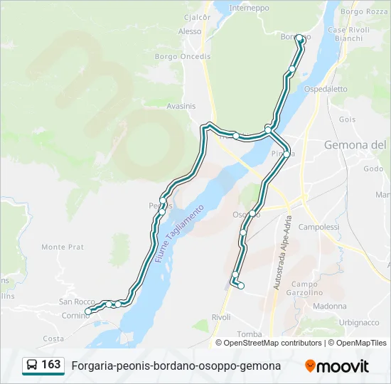 163 Bus Line Map