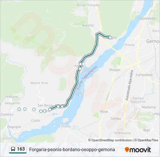 163 Bus Line Map