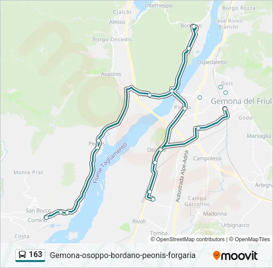 163 Bus Line Map