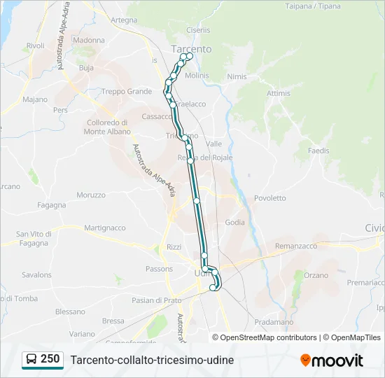 250 Bus Line Map