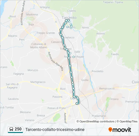 250 Bus Line Map